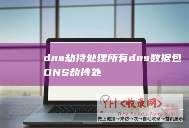 dns劫持处理所有dns数据包 (DNS劫持处置打算大揭秘-dns劫持处置打算)