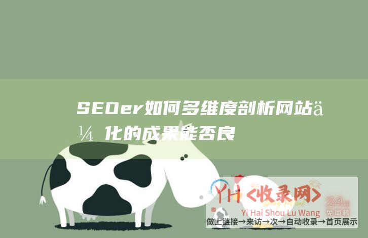 SEOer如何多维度剖析网站优化的成果能否良好