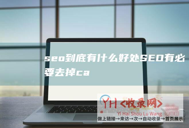 seo到底有什么好处有必要去掉ca