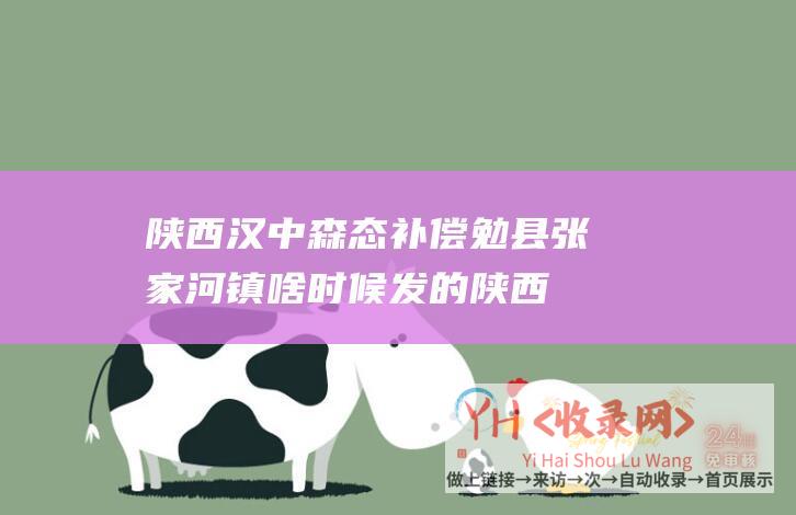 陕西汉中森态补偿勉县张家河镇啥时候发的 (陕西汉中seo网站优化)