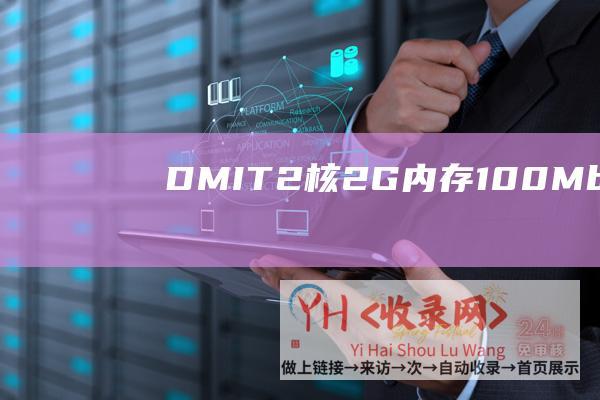 DMIT2核2G内存100Mbps带宽5