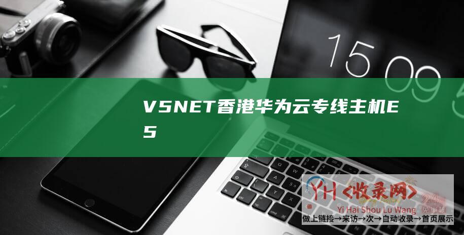 V5.NET - 香港华为云专线主机 - E5