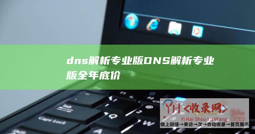 dns解析专业版DNS解析专业版全年底价