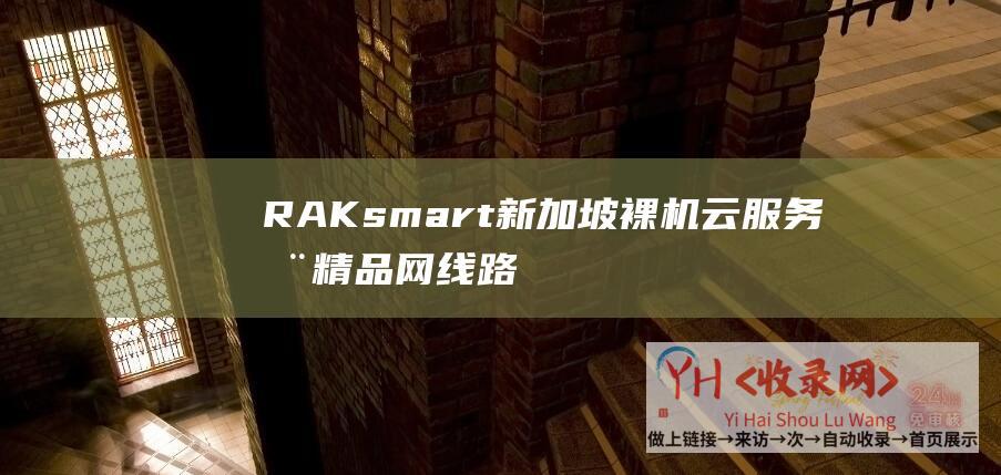RAKsmart新加坡裸机云服务器精品网线路综合测评 (RAKsmart域名配置)
