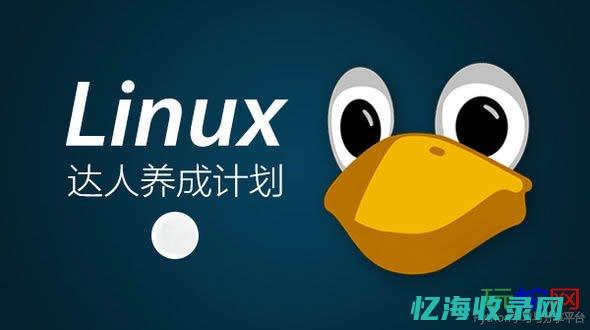 Linux中的独特命令大全：让你成为终端大神 (linux中～代表什么)