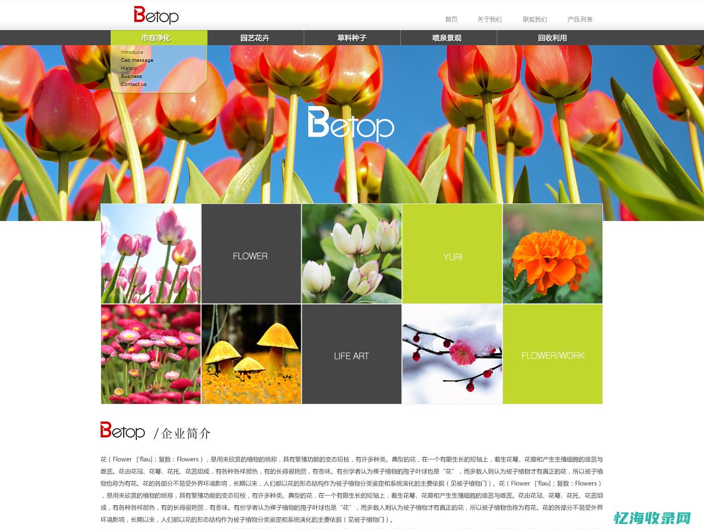 天津网站建设公司：专业打造您的线上品牌