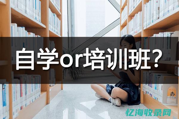 SEO自学和参加SEO培训班-哪个更适合提升技能 (seo自学难吗)