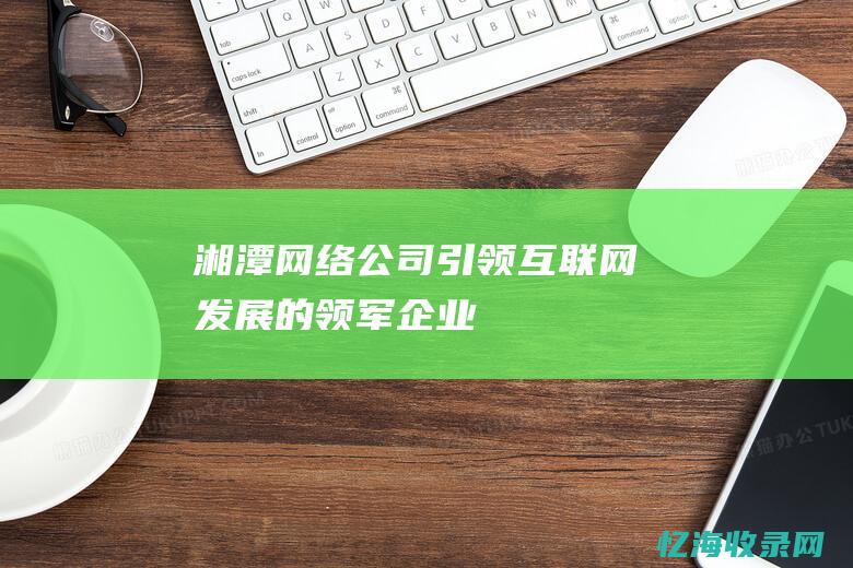 湘潭网络公司引领互联网发展的领军企业