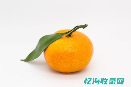 橘子的搜索引擎优化