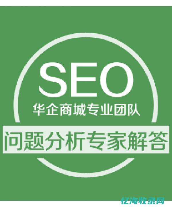 SEO专家揭秘如何运用快速排名系统提升网站流量(seo技术大师)