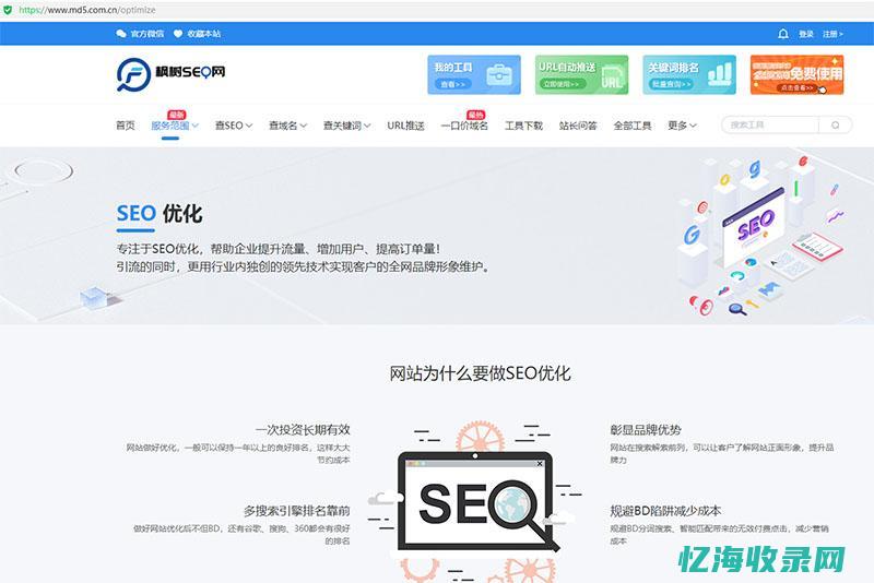 SEO快速排名系统全面解析：助力网站优化与营销(seo快速排名代理)