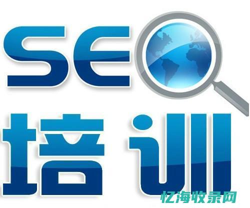 SEO专家指南：全面解析网站快速排名分析与优化策略(资深seo专家)