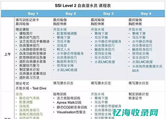 揭秘百度SEO快速排名背后的秘密武器