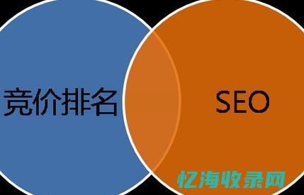 SEO整站优化助力网站流量增长实战指南(seo整站优化平台)