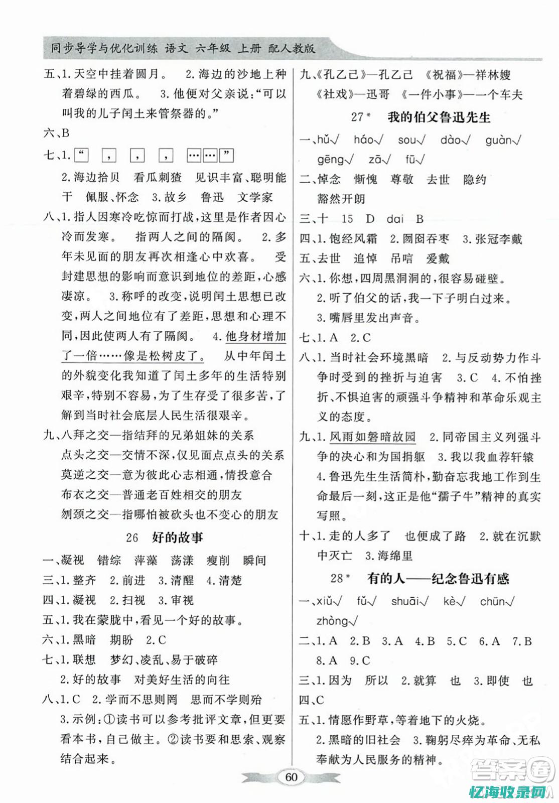 羽毛球儿童初学者指南