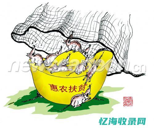 一网打尽！免费顶级域名注册全攻略