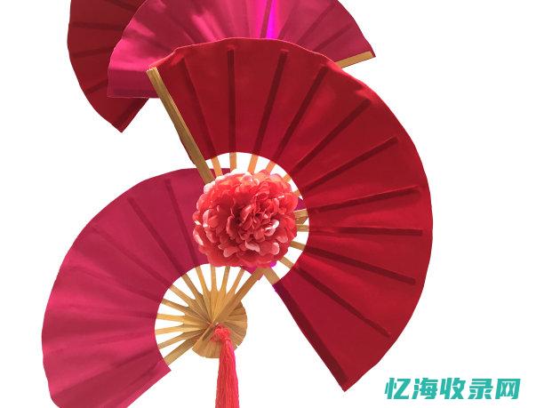 fans域名的文化价值及其在数字时代的作用(fans域名注册局)