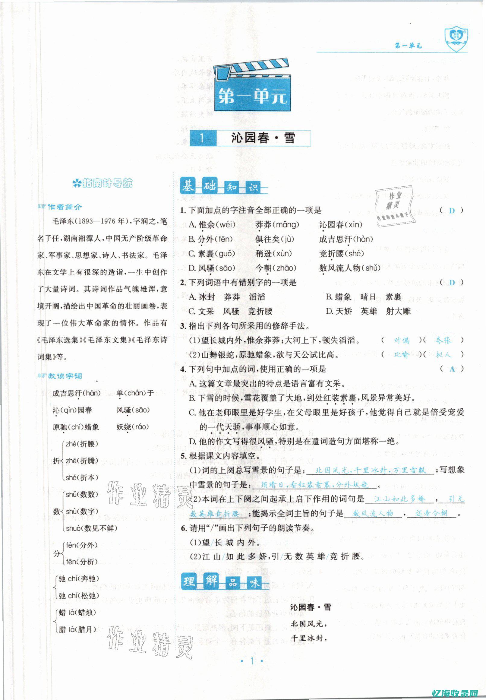 初学者指南：如何轻松注册自己的域名(国国健身舞蹈初学者指南)