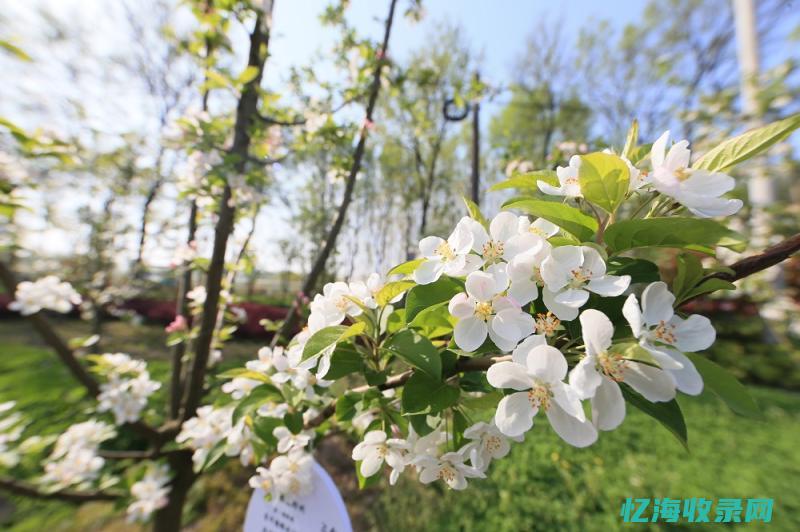 花生壳域名注册全攻略