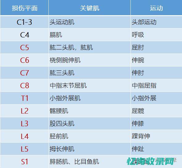 从功能特点看IDC机房巡检机器人的发展趋势与挑战