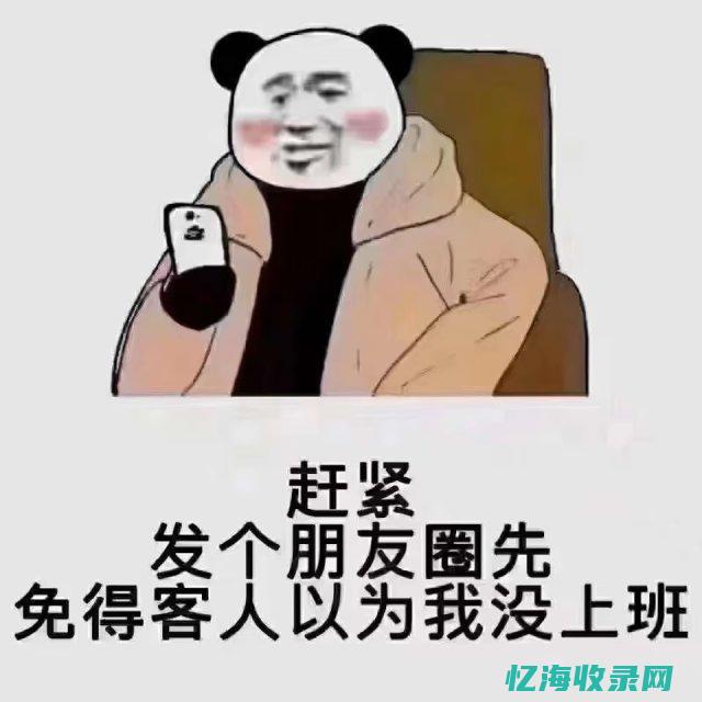 站群IDC在互联网应用中的作用及其发展趋势探讨(站群ip)