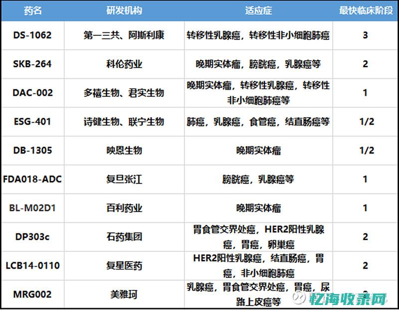 高效IDC采购策略：降低成本与提升性能的关键 (idc采购的那些事)