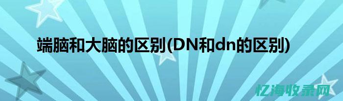 全面解析DNS服务器不响应的多种场景与应对方案(全面解析俄乌武器对比)