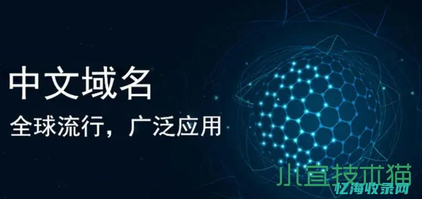 中文域名注册多少费用