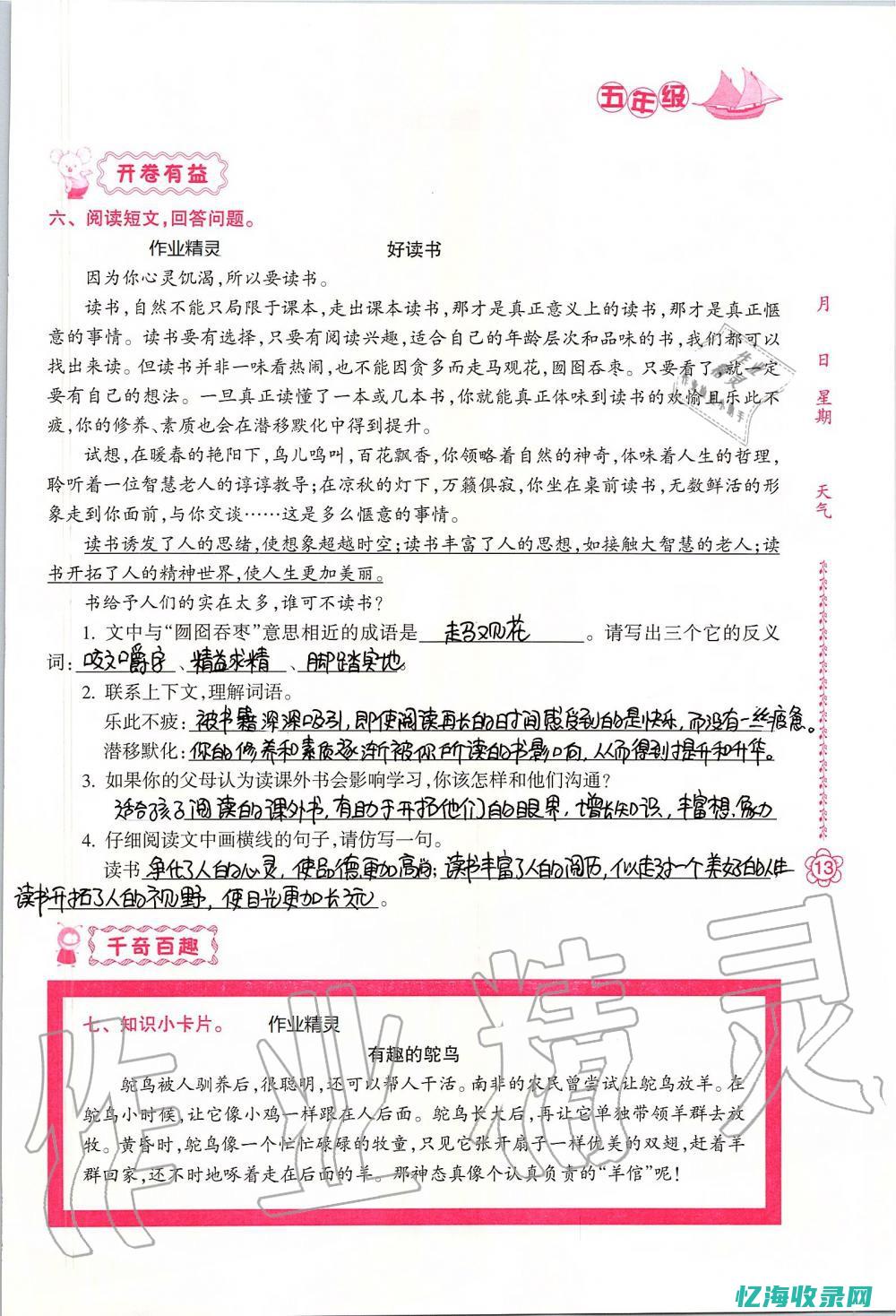 初学者指南：如何购买域名并开始建立网站 (国国健身舞蹈初学者指南)