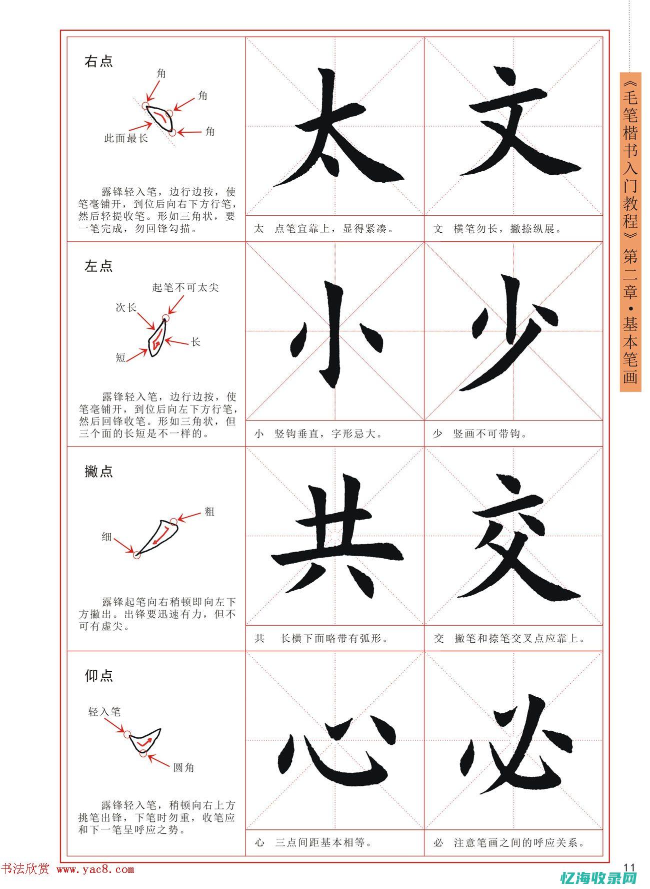 初学者必读