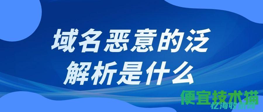 泛域名解析实战指南：从入门到精通 (泛域名解析原理)