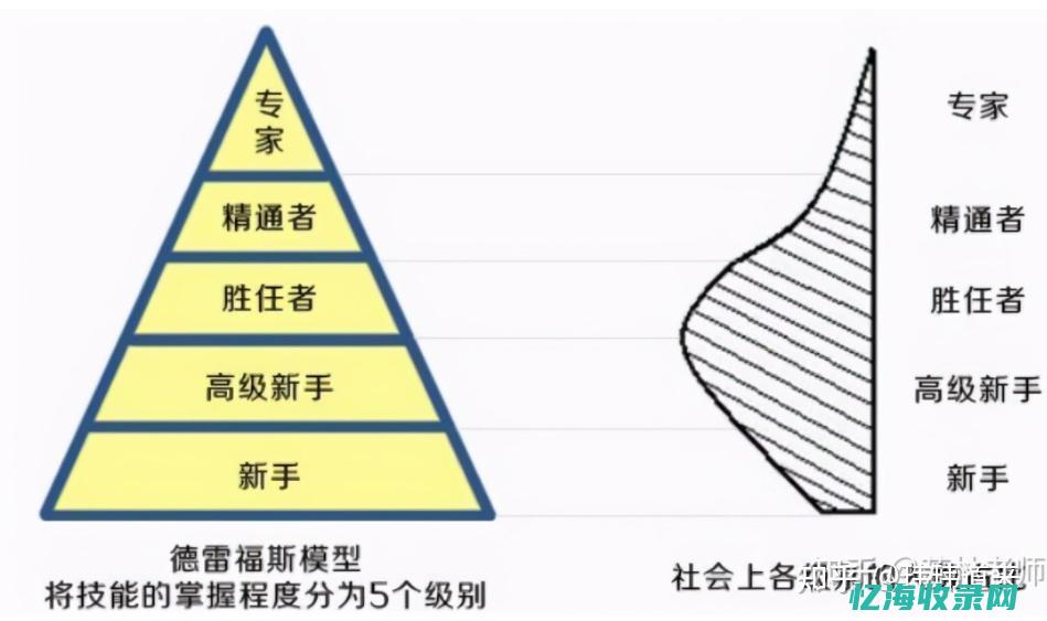 从新手到专家，香港域名注册网站为您提供全方位域名服务 (从新手到专家的五个阶段)