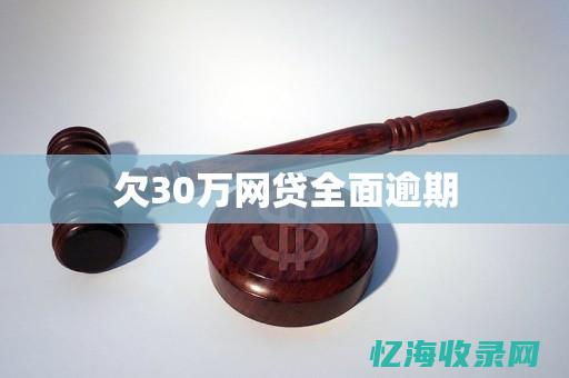 全面解析万网域名查询流程，轻松实现域名信息查询 (全面解析网站)