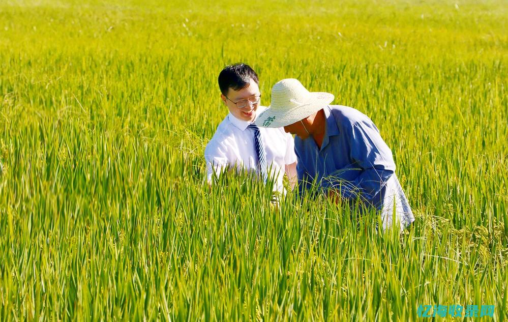 深入了解时间服务器的工作原理：从硬件到软件的全面解析(深入了解时间的英文)