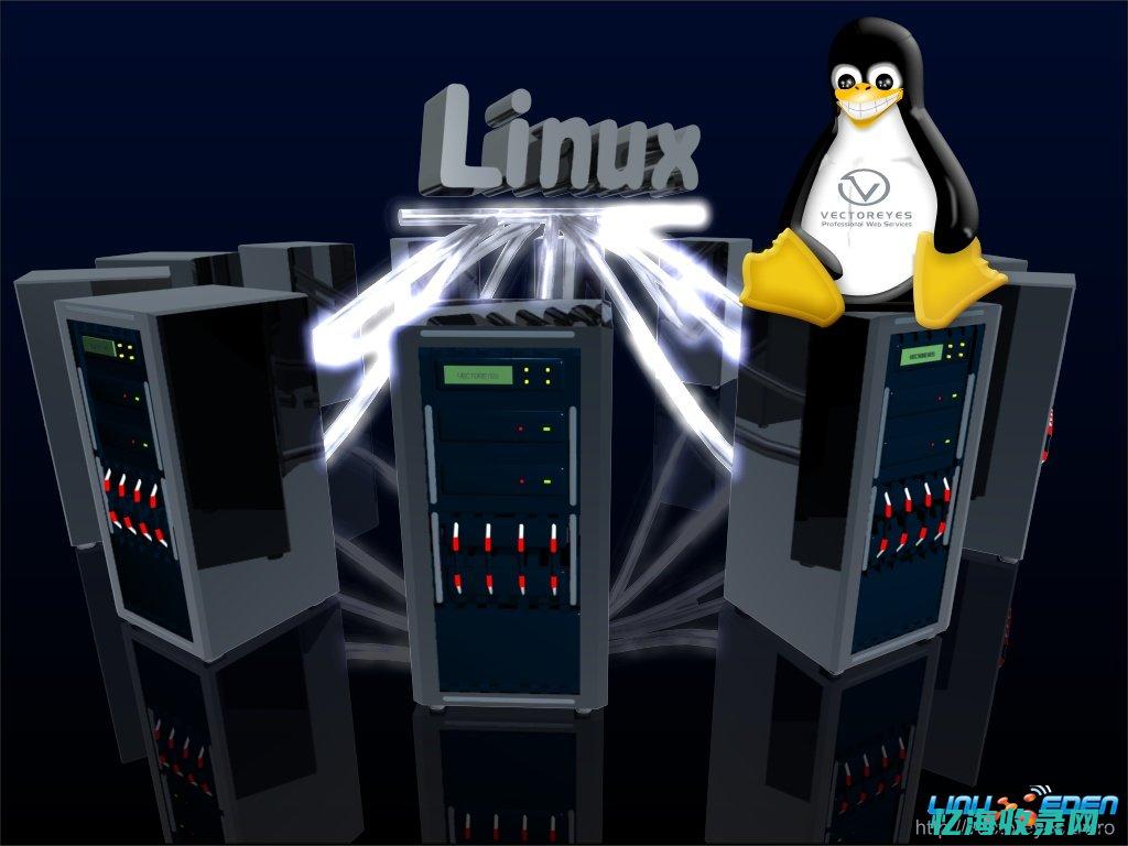 Linux服务器日常运维与管理要点：保障业务稳定运行的关键(linux服务器开启端口命令)