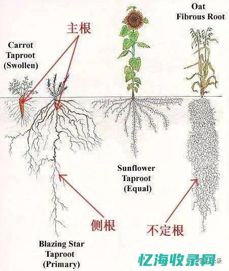 保障网络服务的稳定运行