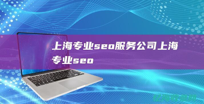 上海专业seo服务公司 (上海专业seo)