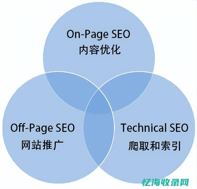 seo怎么做排名