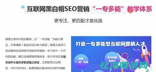 seo管理是什么意思