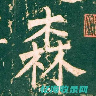 关键字森字组词 (森字组合)