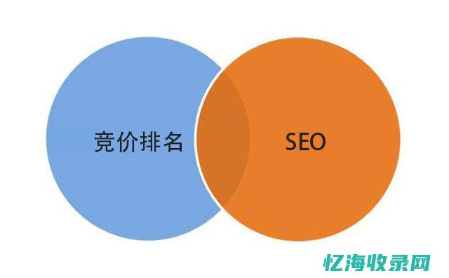 SEO竞价什么意思