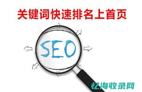 seo搜索排名优化什么意思