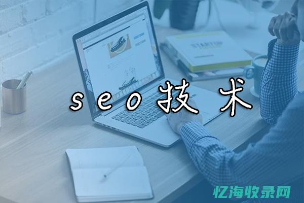 seo前景2024