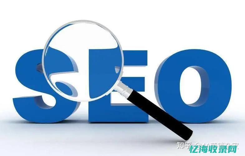 seo 网站排名 (SEO网站排名优化软件)