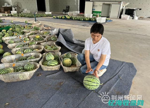 荆州本地网站