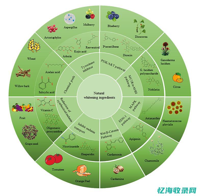 人工色素的来源是什么