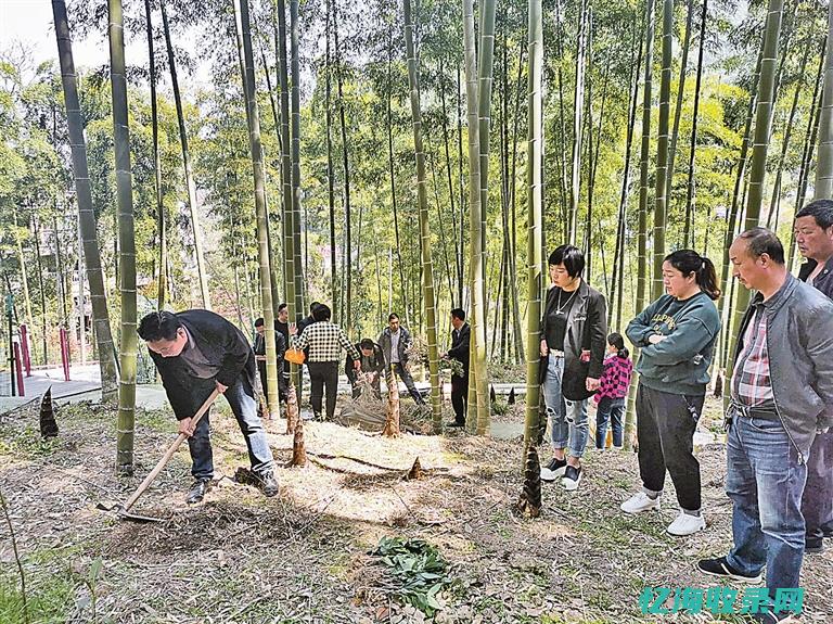 如何做好森林防火工作