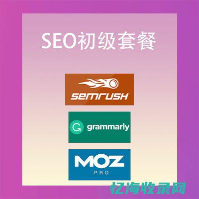 seo收费标准