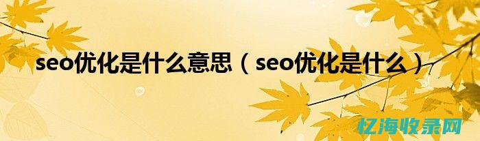 seo设置是什么 (seo选项)