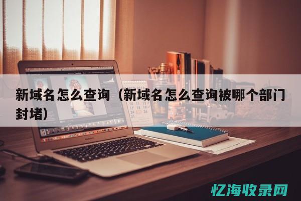 seo域名查询 (seo1是哪里的域名)